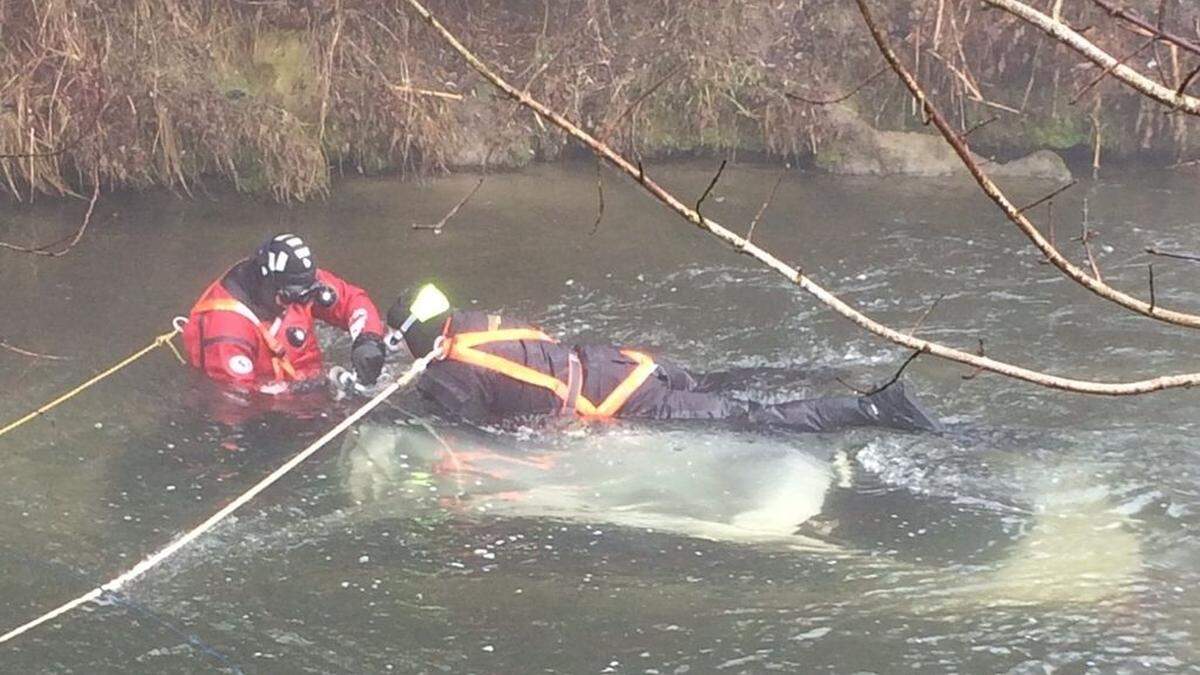 Taucher der Feuerwehr Leitring bargen das Fahrzeug