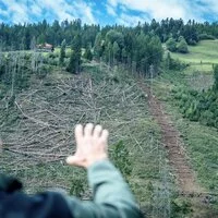 Auf rund sechs Hektar ist der Bestand im Vigeinwald ausgefallen – speziell durch den Befall des Borkenkäfers