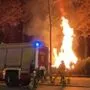 Feuerwehreinsatz im Stadtpark