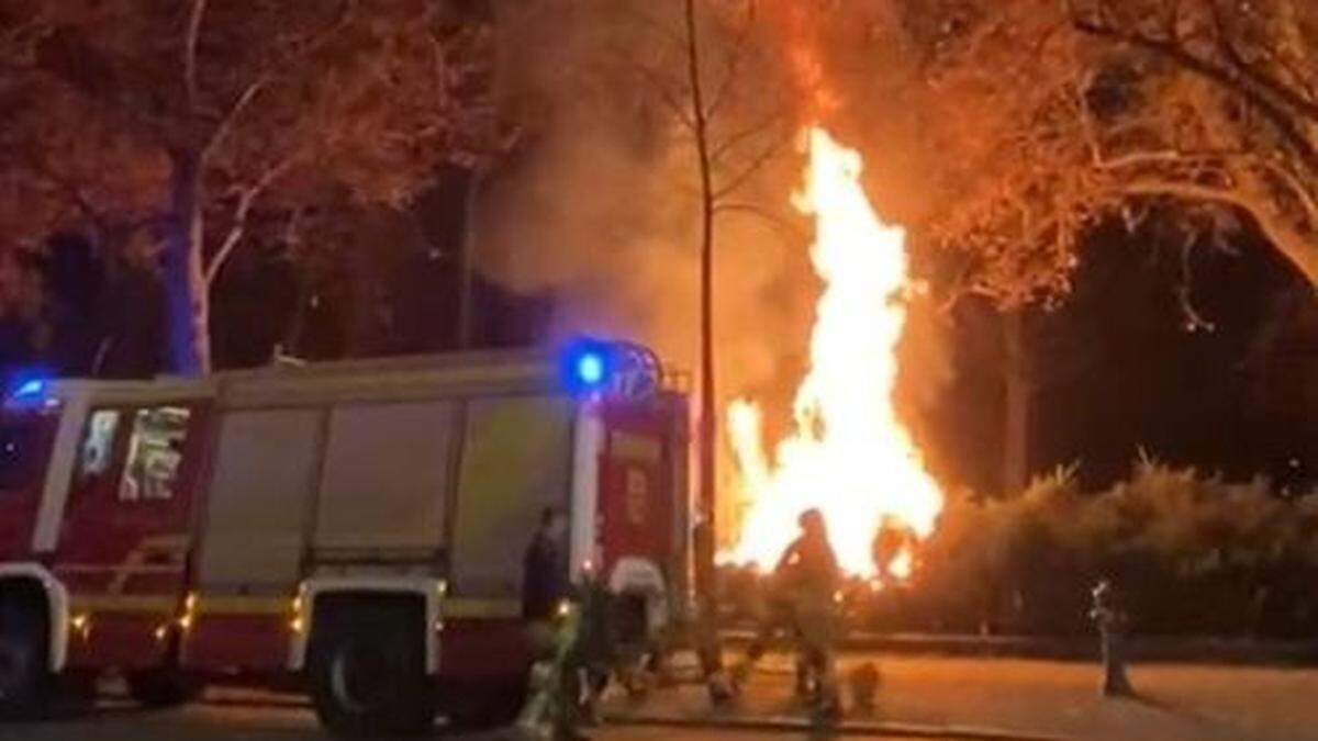 Feuerwehreinsatz im Stadtpark