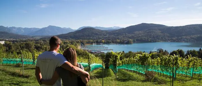 Die „Seewiese“ der Klagenfurter Stadtwinzer zählt mit Sicherheit zu einem der schönsten Weingärten Österreichs