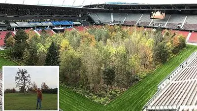 Baumschulen-Chef Wolfgang Praskac (kleines Bild) hat genug Platz für die Bäume aus Klagenfurt reserviert