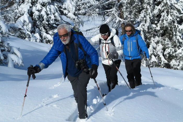 Die Kamera Alpin in Gold in der Kategorie "Alpinismus und Expedition" gewann der klassisch erzählte Porträtfilm "Hombi, his Mind in the Sky" des Schweizers Benoit Aymon. "Hinter der linear erzählten Geschichte verbirgt sich das sensible Porträt eines stets neugierigen Menschen", begründete die Jury ihre Entscheidung.
