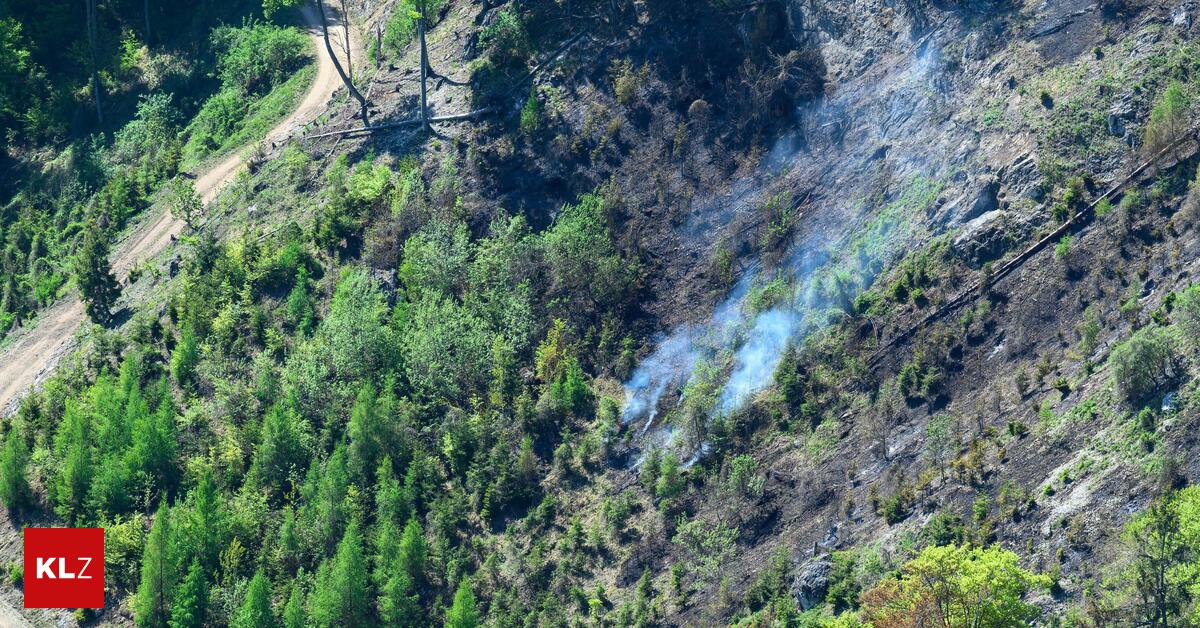 Trockenheit-Br-nde-Gr-ne-wollen-steirische-Koalition-grillen-