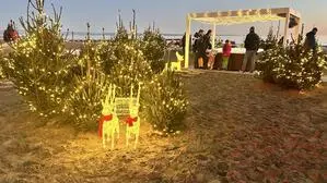 Die Strandbar Numero Uno wird wie im Vorjahr auch heuer im Advent weihnachtlich geschmückt