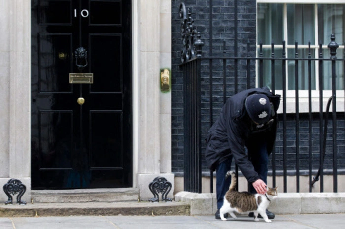 Der US-Präsident hat traditionell einen Hund - Amtsinhaber Joe Biden sogar zwei -, doch beim britischen Premier sind Stubentiger das Tier der Wahl. Wohl auch, weil der Wohnsitz etwas beengter ist als das Weiße Haus mit Garten. Vor Larry, heute 14 Jahre alt, diente Humphrey von 1989 bis 1997. Eine Ausnahme gab es in der Zeit von Premier Tony Blair (1997-2007) - Ehefrau Cherie Blair mag angeblich keine Katzen.  