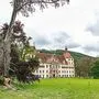 Die Blutbuche von Eggenberg nach dem Sturmschaden im Vorjahr