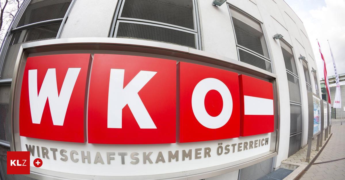 Harald-Mahrer-WKO-Pr-sident-im-Krisenmodus