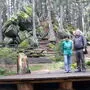 Anne und Peter Knoll bei einem Lokalaugenschein im Dom des Waldes