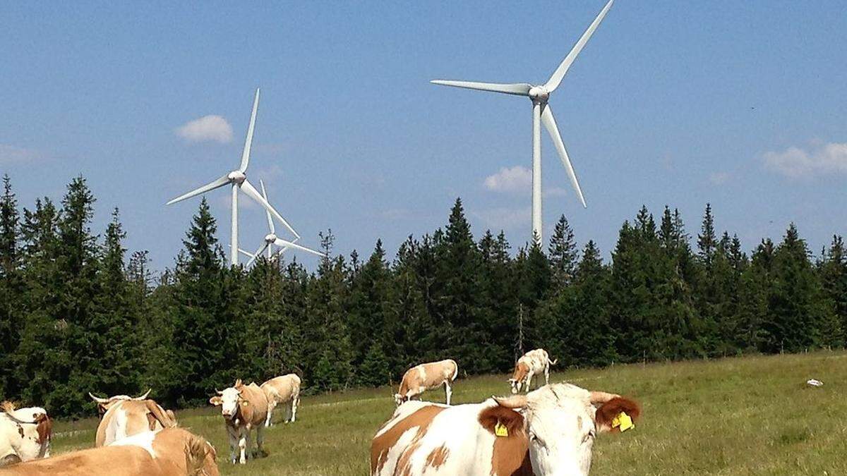 Das &quot;Forum Naturschutz und Wirtschaft&quot; setzt sich besonders für Windkraft ein 