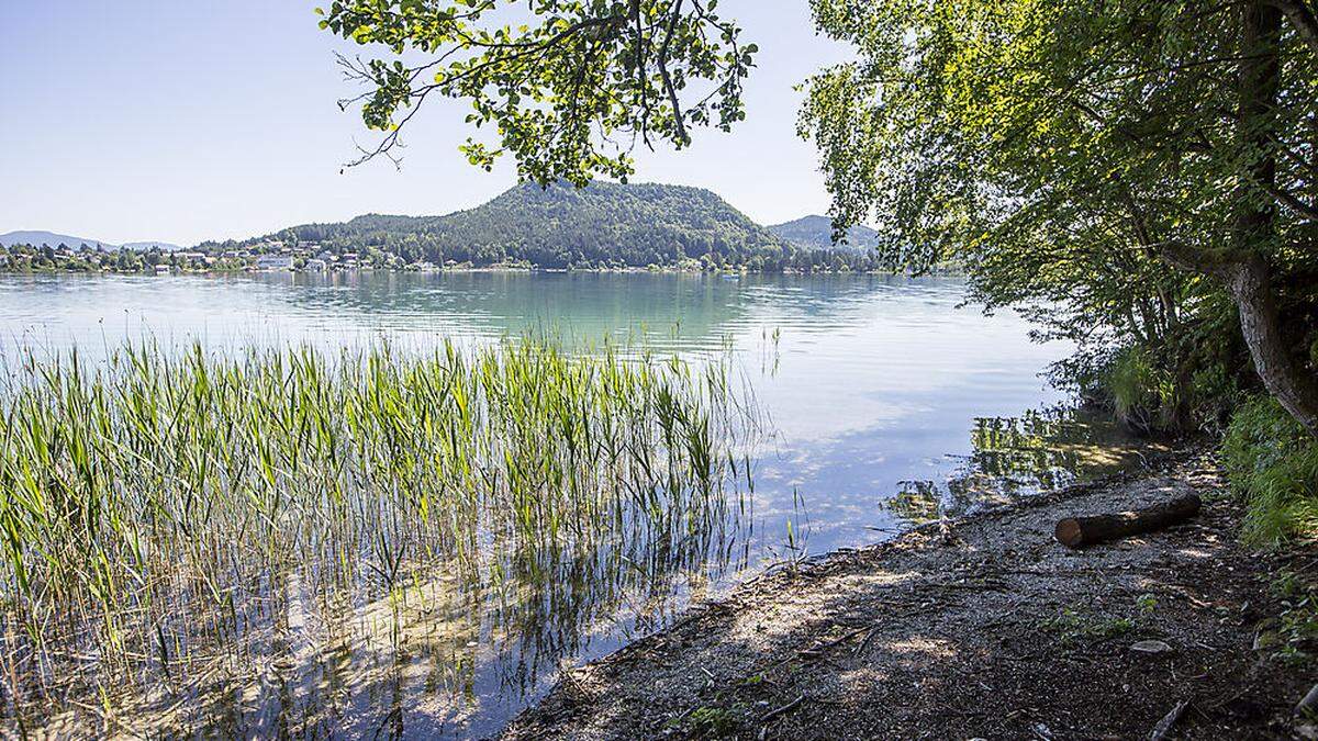 Im Faaker See ist Anfang der Woche eine Wasserleiche aufgetaucht