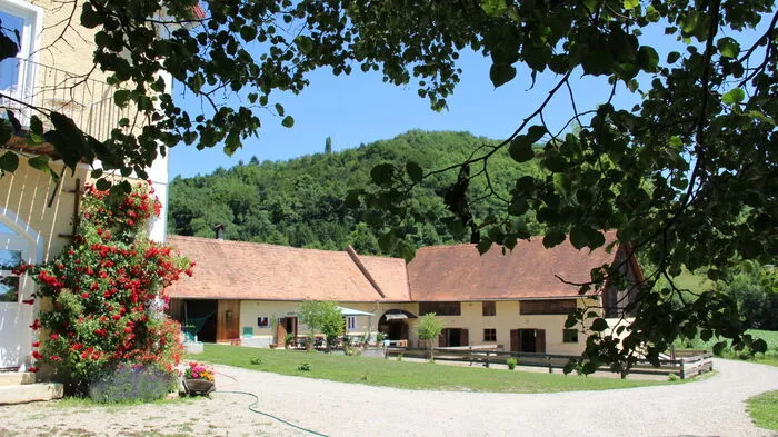 Das Kitzecker Hügelland ist einen Ausritt wert. Und auf dem Rücken von Islandpferden lässt sich die Idylle besonders genießen.Tolle Möglichkeiten bietet Ann Krisper vom Wellinghof.