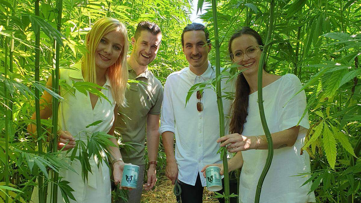 Laura Habel, Thomas Zotter, Gernot Hörtner und Isabella Fraiss gründeten das Unternehmen Hanfred