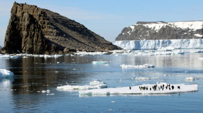 Adeliepinguine leben weit verstreut in der Antarktis.