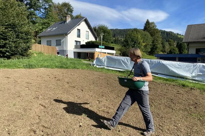 ... dann längs. So wird garantiert, dass genügend Samen pro Quadratmeter in den Boden gelangen.