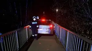 Der Mann versuchte die Fußgängerbrücke mit einem Pkw zu überqueren