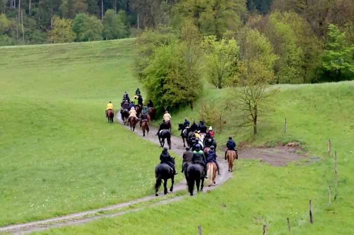 Hoch zu Ross und völlig durchnässt gesichtet wurden im Gurktal unter anderen Schönheitschirurg Harald Moshammer, Bürgermeister Franz Pirolt, Tierarzt Hugo Kanz sowie die ORF-Stimmen Josef Nadrag und Christine Pleschberger. 