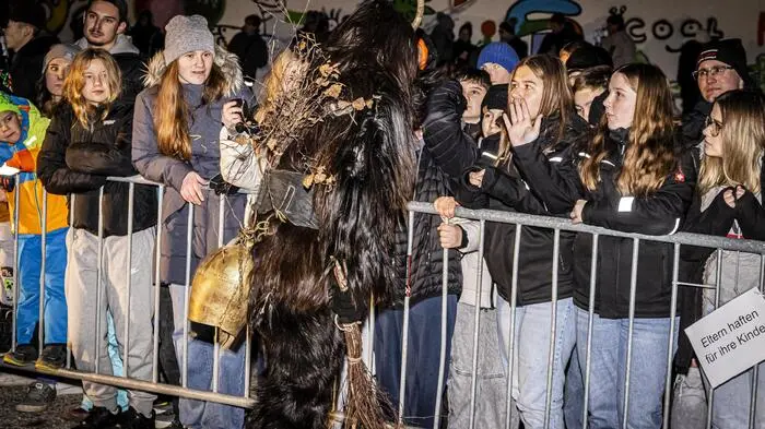 Krampuslauf Arnoldstein November 2024