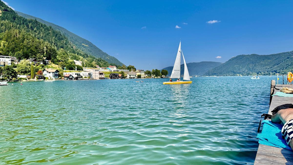 Am Ossiacher See wird versucht den Wildkarpfen anzusiedeln, da andere Fische empfindlich auf die Temperaturen reagieren