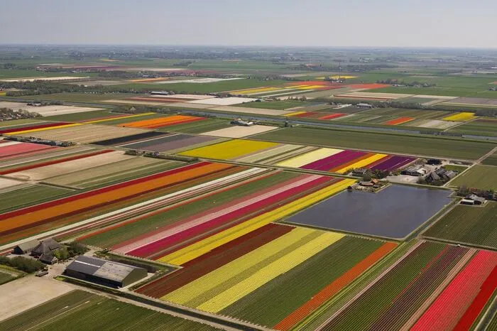 Eine weitere Bedrohung liege dem Bericht zufolge darin, dass immer mehr Lebensräume von Tieren durch Straßen, landwirtschaftlich genutzte Felder und Dämme zerschnitten werden. So haben Lebewesen demnach immer weniger Platz sich zu bewegen, Nahrungsmittel zu suchen und sich zu paaren.