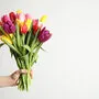 Unangefochten sind zum Valentinstag Frühlingsblumen wie Tulpen