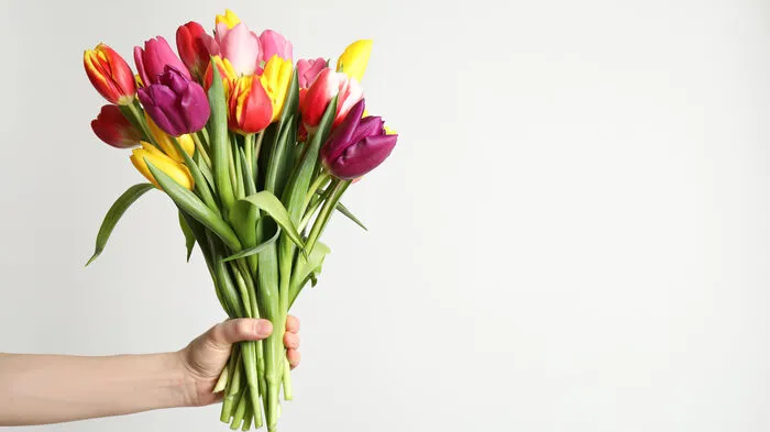 Unangefochten sind zum Valentinstag Frühlingsblumen wie Tulpen