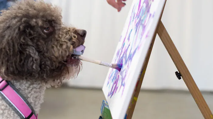 Schweine, Pferde, Hunde, Ziegen, Hühner und sogar Geckos malen im Animal Training Center mit Fingermalfarben.  
