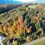 Ein herbstlicher Nadelwald von oben mit einer Straße davor | Das Ansuchen um Schotterabbau am Rogatsch beschäftigt die Anrainer, die Stadt Villach und das Unternehmen seit Jahrzehnten