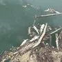 Auf einer rund einen Kilometer langen Strecke wurden die toten Fische im Wasser treibend gefunden