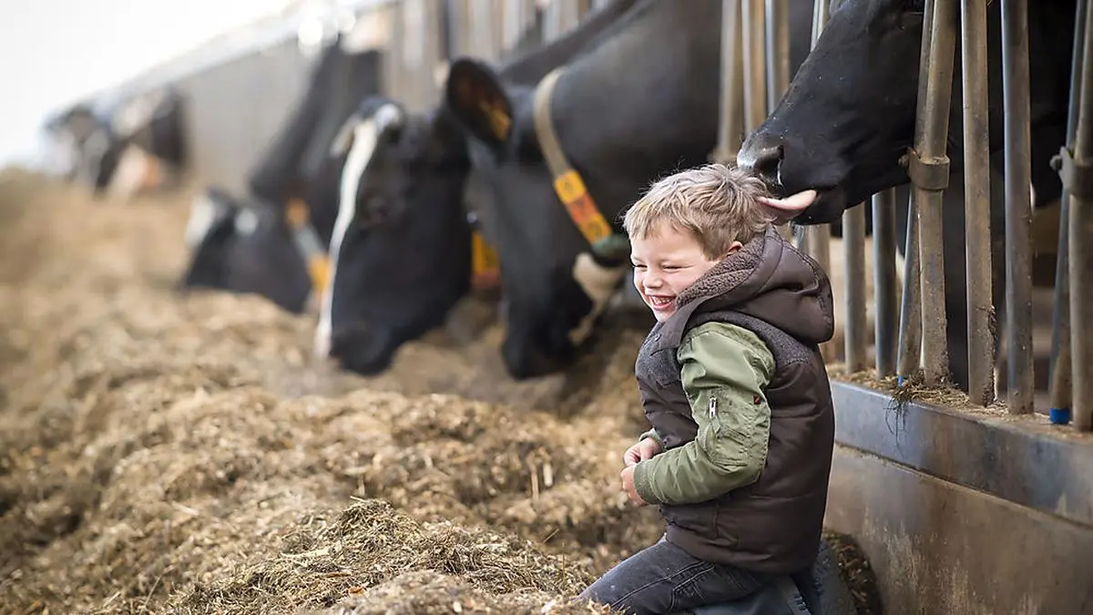 Ein gesunder Umgang mit der Natur stärkt das Immunsystem.