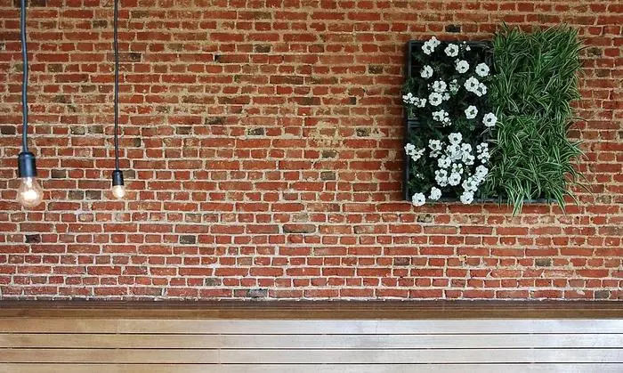 Modulare Systeme für vertikales Gärtnern - funktioniert auch in der Wohnung 