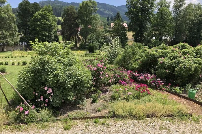 Klicken Sie sich durch die Bilder!