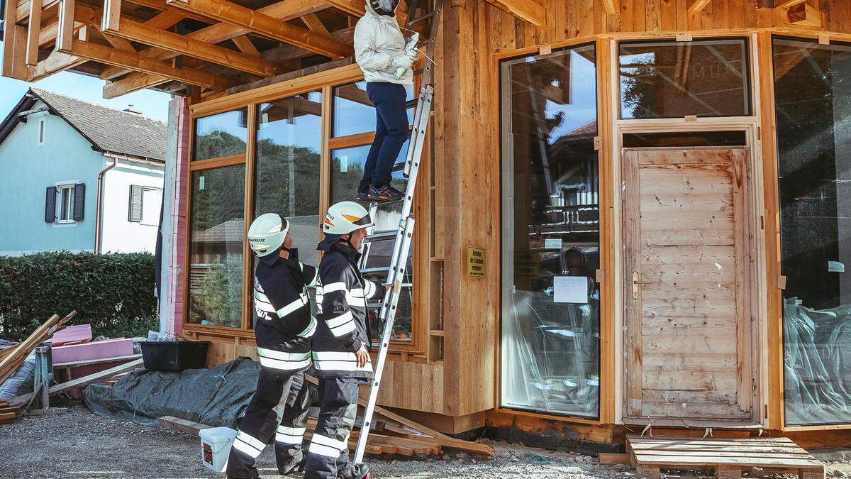 Das Wespennest wurde professionell entfernt