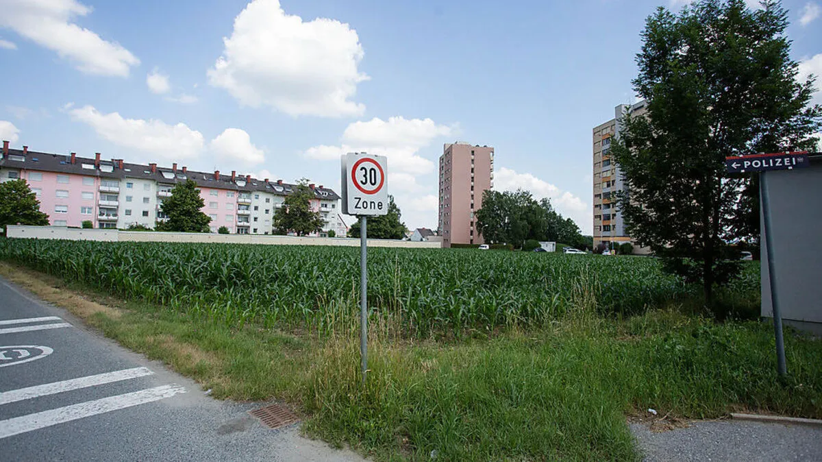 Wo derzeit zwischen Hochhäusern und Polizei ein Maisacker ist, entsteht ab Mitte 2020 ein Wohnbauprojekt 