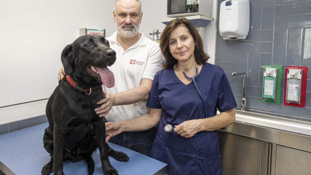 Die Tierklinik von Dr. Krebitz war bisher Anlaufstelle für viele Villacher Tierliebhaber