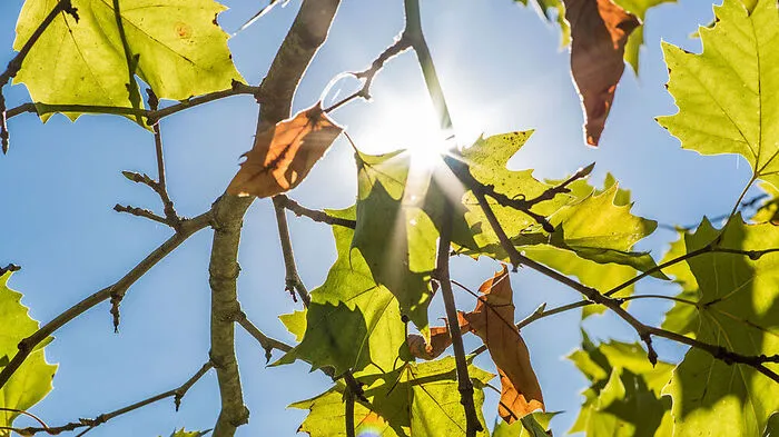 Das sonnige Herbstwetter hält an
