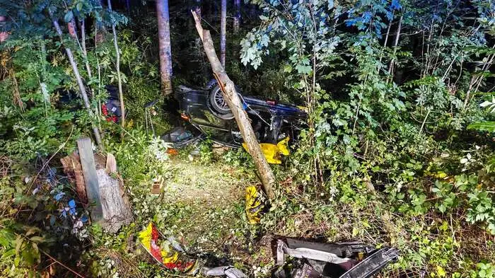 Das Auto landete im Wald