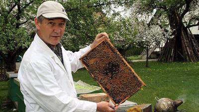 Werner Pachler aus Wolfsberg ist Imker, Wanderlehrer und Sachverständiger für Bienengesundheit