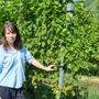 Katharina Tinnacher bewirtschaftet 28 Hektar Land
