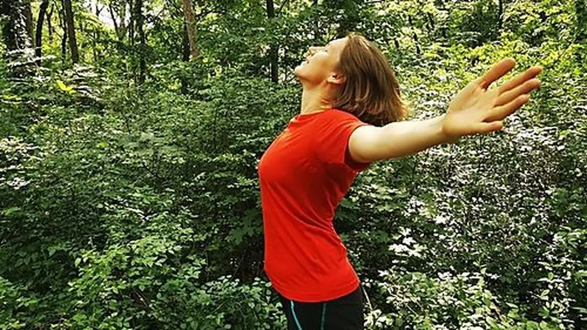 Die Tagung setzt sich mit den Themen Gesundheit und Forst-Tourismus auseinander 