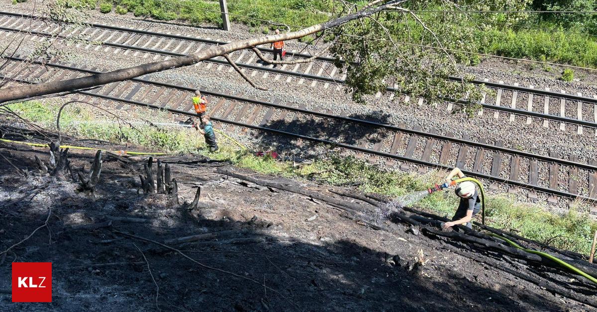 Neumarkt-in-Steiermark-Baum-st-rzte-auf-BB-Oberleitung