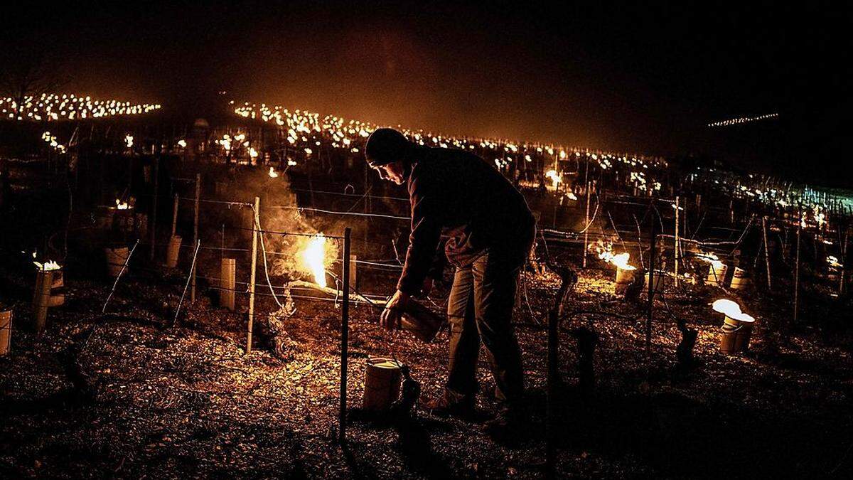 Von Frankreich über Italien bis in die Oststeiermark kämpften Obstbauern in den letzen Nächten gegen den Frost