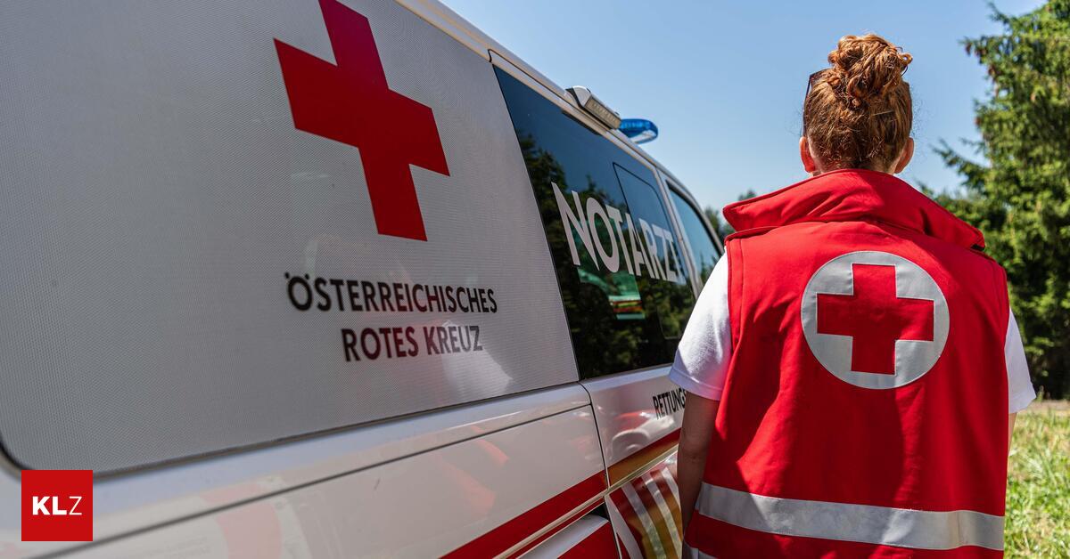 Lenkerin-geriet-auf-Gegenfahrbahn-Zwei-Verletzte