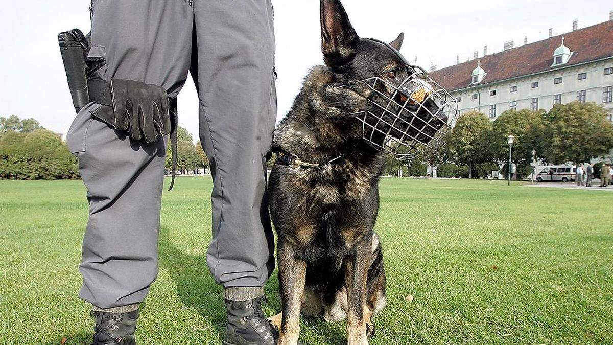 Sujetbild Polizeihund