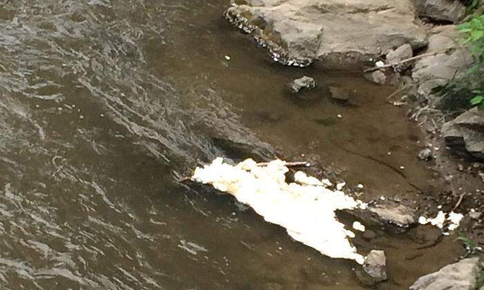Solche Styroporteile verschmutzen den Fluss