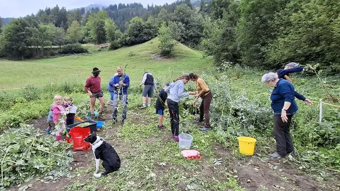 In Bobojach ist „Bühnhoulgungl“ Kult