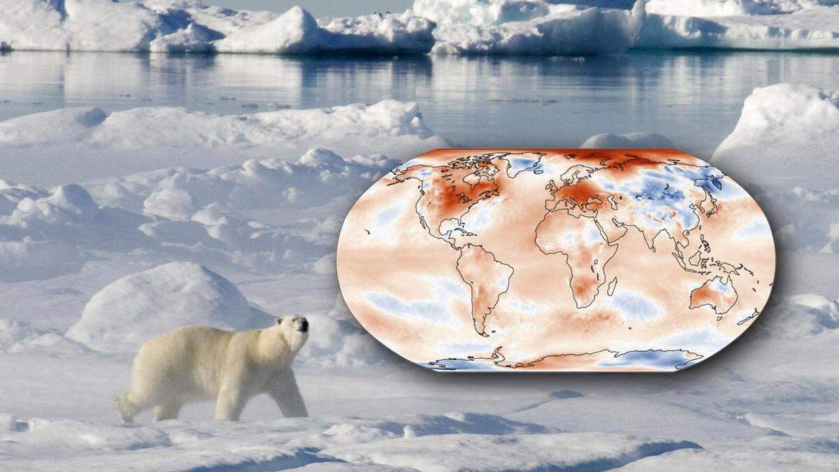 In der Arktis, in Europa und in Nordamerika fiel der Februar 2024 besonders warm aus (die Karte zeigt die Temperaturabweichungen vom Mittel der Jahre 1991 bis 2020)