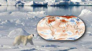 In der Arktis, in Europa und in Nordamerika fiel der Februar 2024 besonders warm aus (die Karte zeigt die Temperaturabweichungen vom Mittel der Jahre 1991 bis 2020)