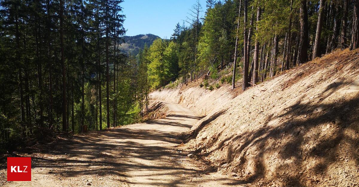 Forstweg-bringt-Bedenken-Gibt-es-eine-Waldautobahn-im-Schladnitzgraben-