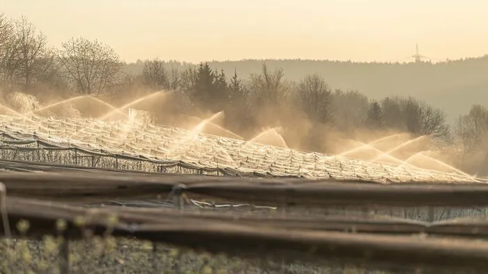 Bei bis zu minus 8 Grad erleben steirische Obstbauern derzeit schlaflose Nächte, weil sie mit verschiedensten Mitteln versuchen, ihre Früchte bzw. Blüten zu schützen.